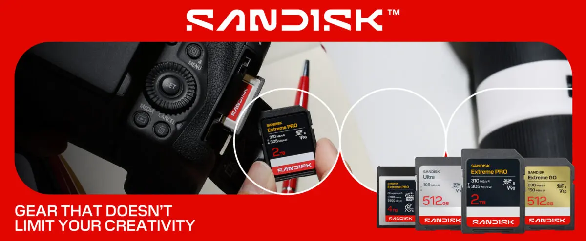 SD-Cards_Family